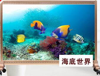 碳晶墻暖